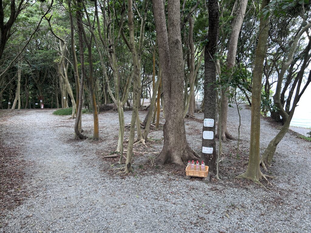 豊国崎オートキャンプ場