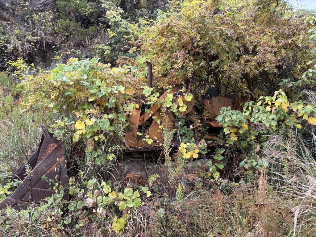 タイニーヴィレッジ