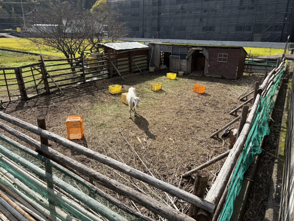 タイニーヴィレッジ