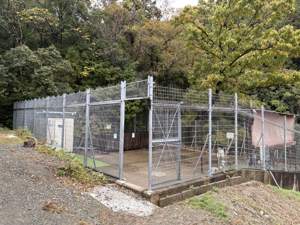 タイニーヴィレッジ