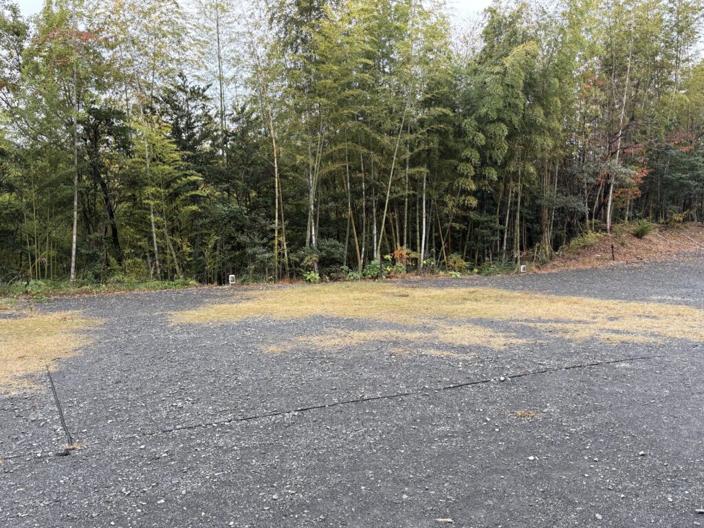 タイニーヴィレッジ