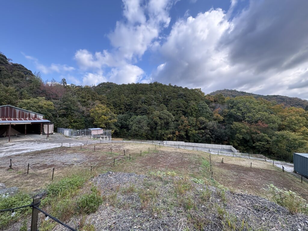 タイニーヴィレッジ