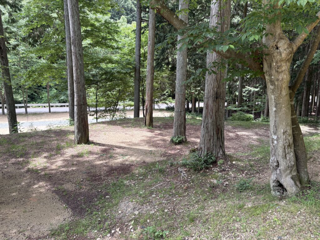 TAKUMIキャンプフィールドの林間サイト