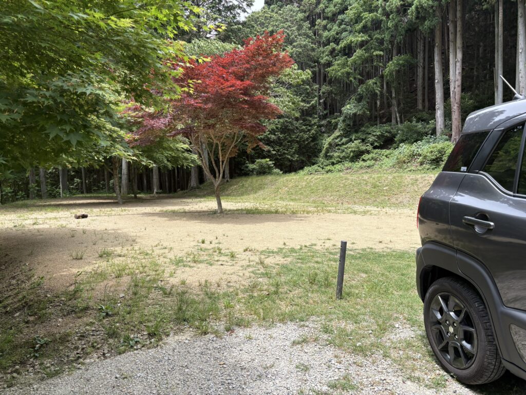 TAKUMIキャンプフィールドのもみじサイト駐車スペース