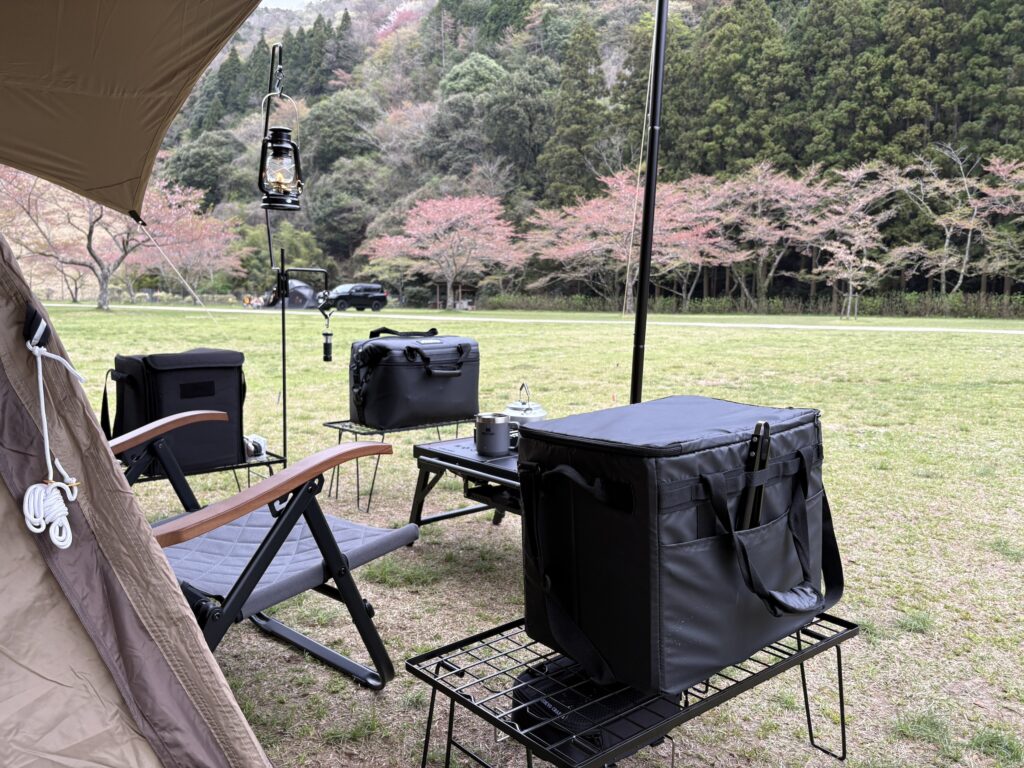 ハイマート佐仲から見える桜の木
